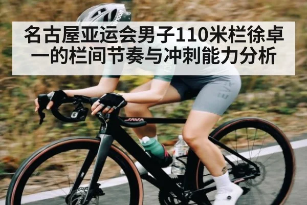 名古屋亚运会男子110米栏徐卓一的栏间节奏与冲刺能力分析