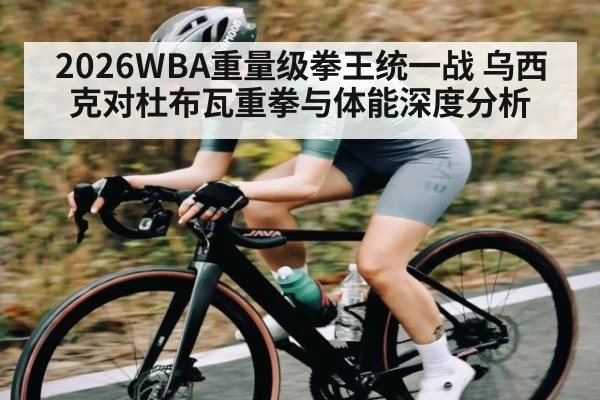 2026WBA重量级拳王统一战 乌西克对杜布瓦重拳与体能深度分析